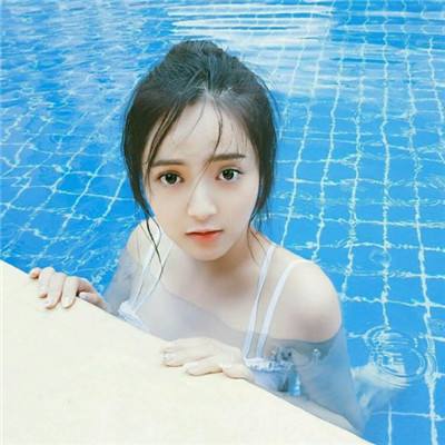 王雷泉：《藏要》解题
