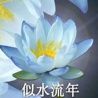 BBIN线上真人截图