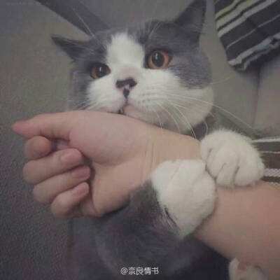 浅谈传感线缆