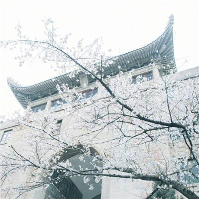 yysports下载