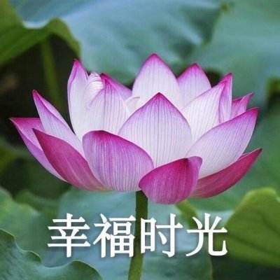 充电宝不充电也爆炸？3秒火花四溅