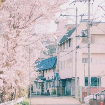 湖南炎陵第四届桃花节隆重开幕