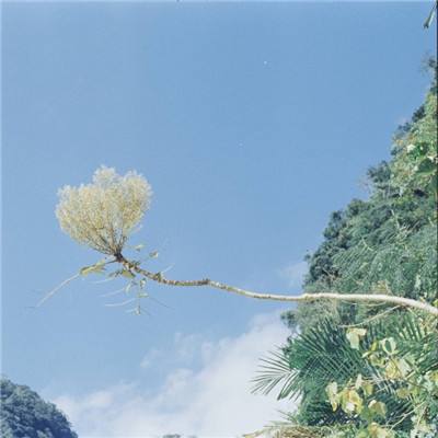 V6.11官方版本