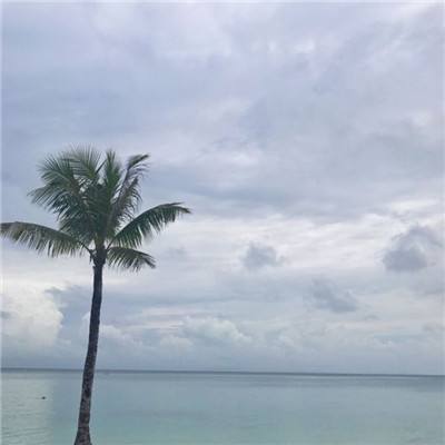 英皇体育英皇体育官方网站