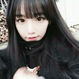 新闻学救不了美利坚