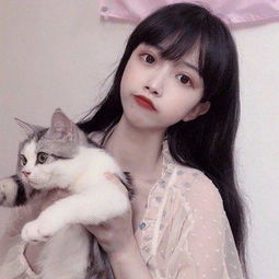 澳门获认证的科技企业增至33家