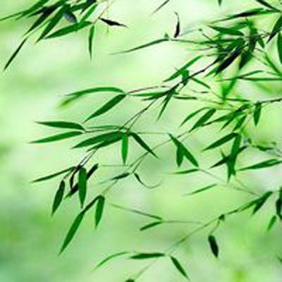 湖南严肃查处洞口县棚改项目涉假造假问题 追责问责88名公职人员