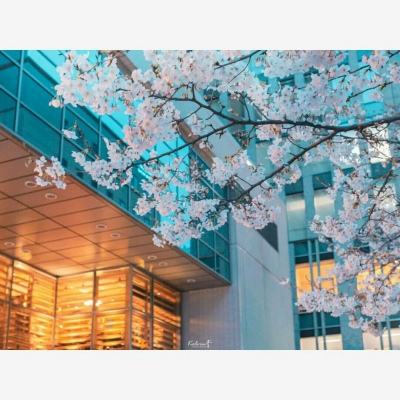 调查重拳打击网络谣言！公安机关今年已办理2.7万余起案件