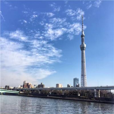 至尊天下网址APP