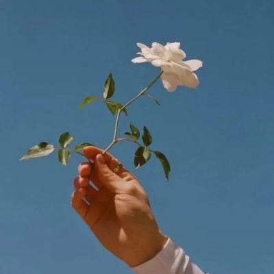 COVAX疫苗分配首现供过于求 意大利结束紧急状态｜大流行手记（2月23日）