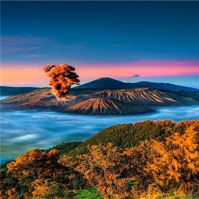 第十六届中国生物产业大会中国光谷创新医疗器械产业高峰论坛活动在广州成功举行