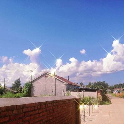 FF非凡网
