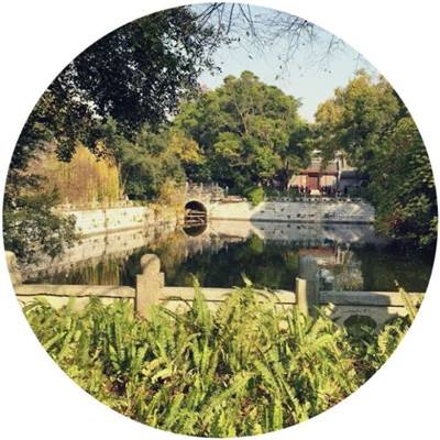 03版要闻 - 中国可再生能源产业发展带来机遇（国际论坛）