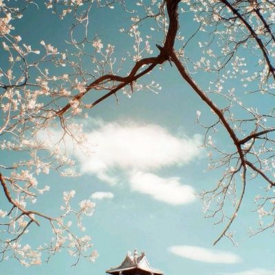 美联邦政府史上最长“停摆”持续