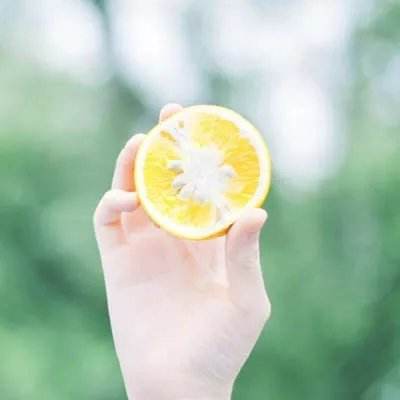 街机森林舞会下载苹果截图3
