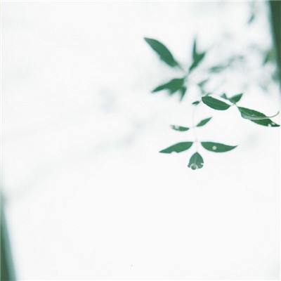 银河电子综合APP截图1