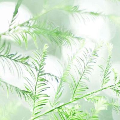 文化中国行丨“大系”荟丹青文化大工程赓续千年文脉