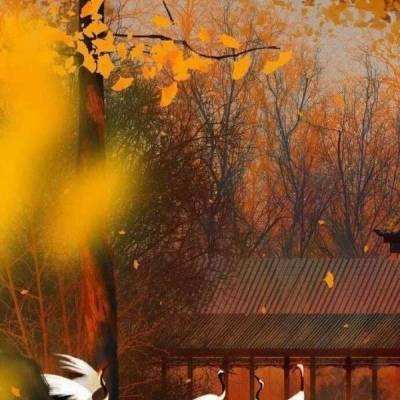 青春华章•中国向上丨投笔从戎的南开学子这个军礼催人泪下